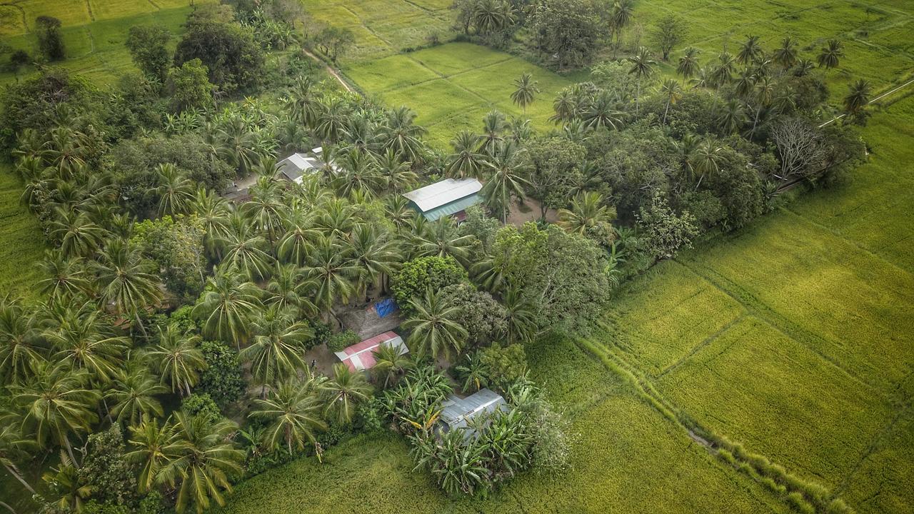 Coconut Park Anuradhapura Exterior foto