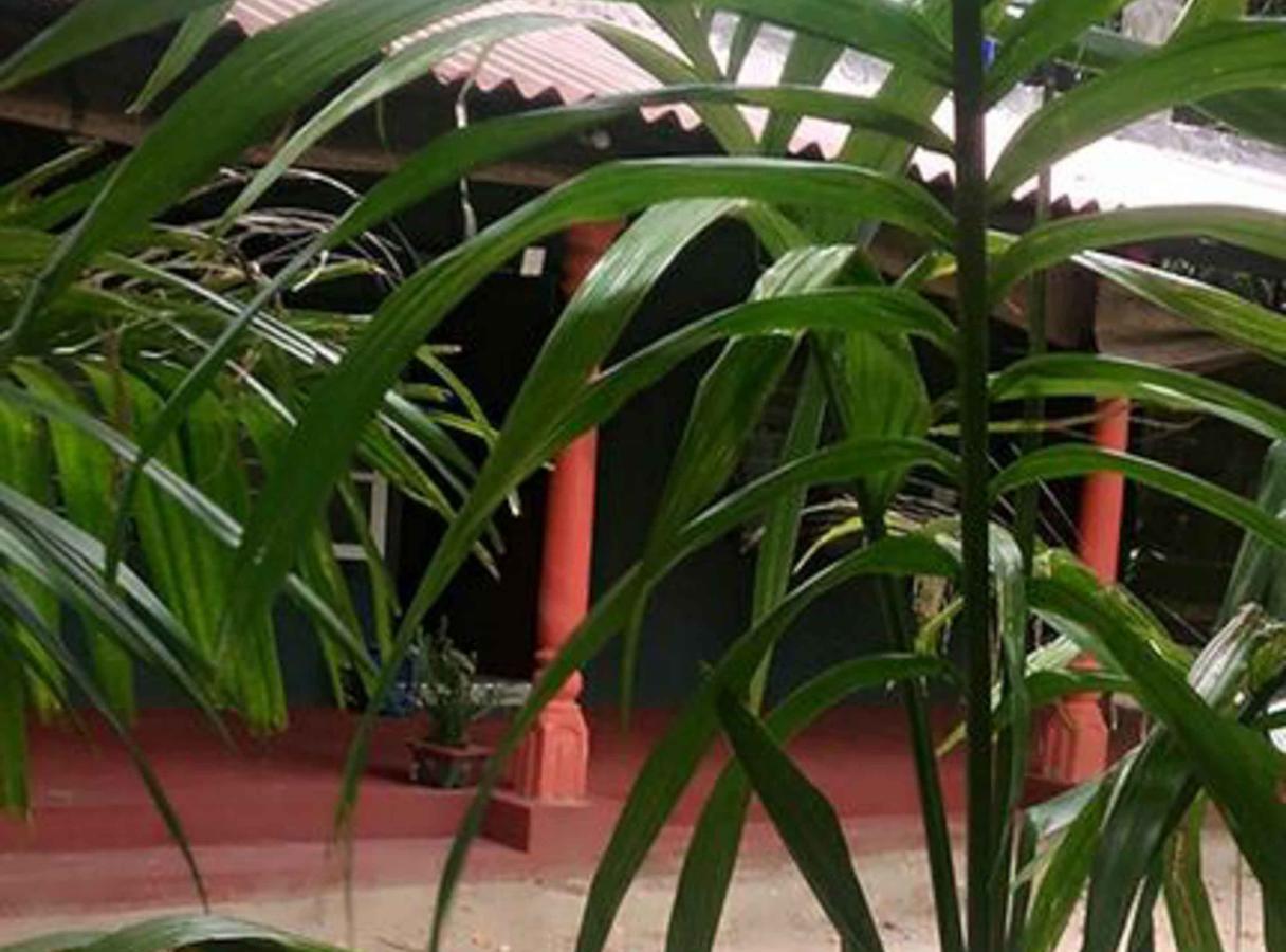 Coconut Park Anuradhapura Exterior foto